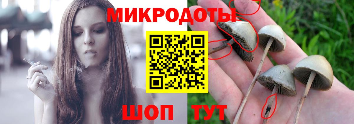 Ставрополь  Псилоцибиновые грибы Cubensis  сколько стоит  Псилоцибиновые грибы ЛСД  Вход с VPN 