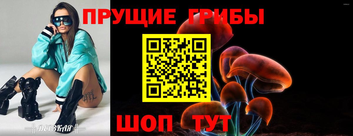Галлюциногенные грибы GOLDEN TEACHER Ставрополь